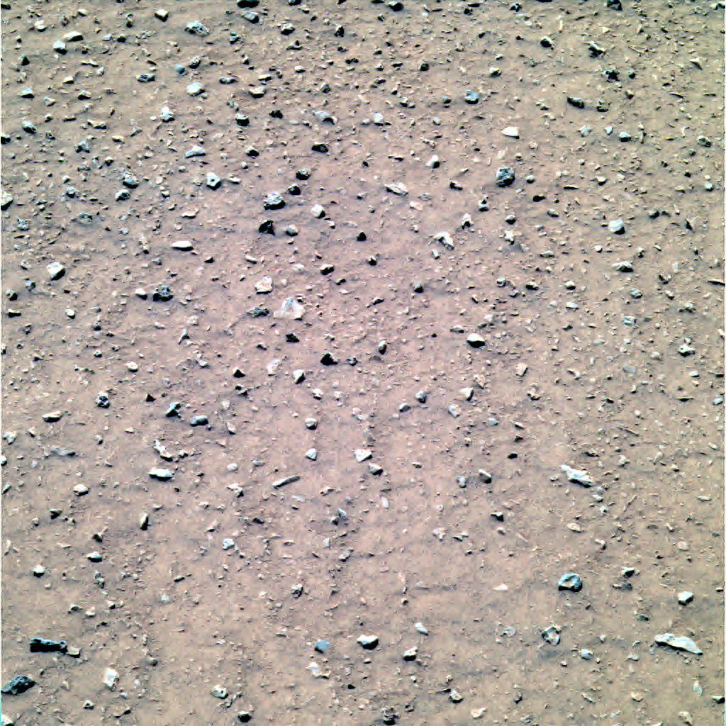Color Images from Mars Rovers Spirit and Opportunity - Bob Webster